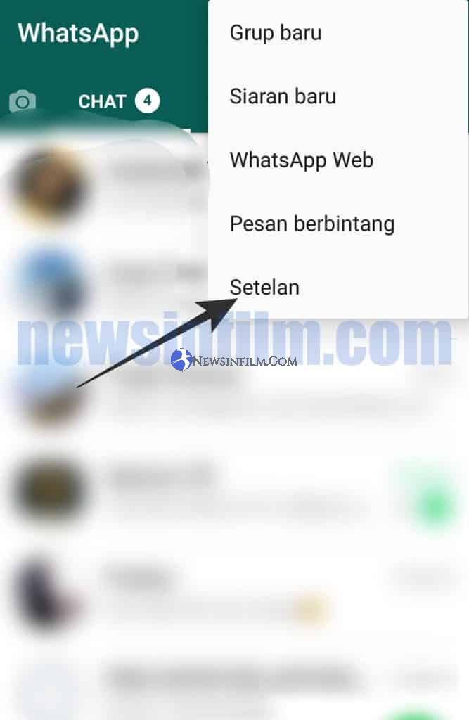 Menggunakan Whatsapp Mod
