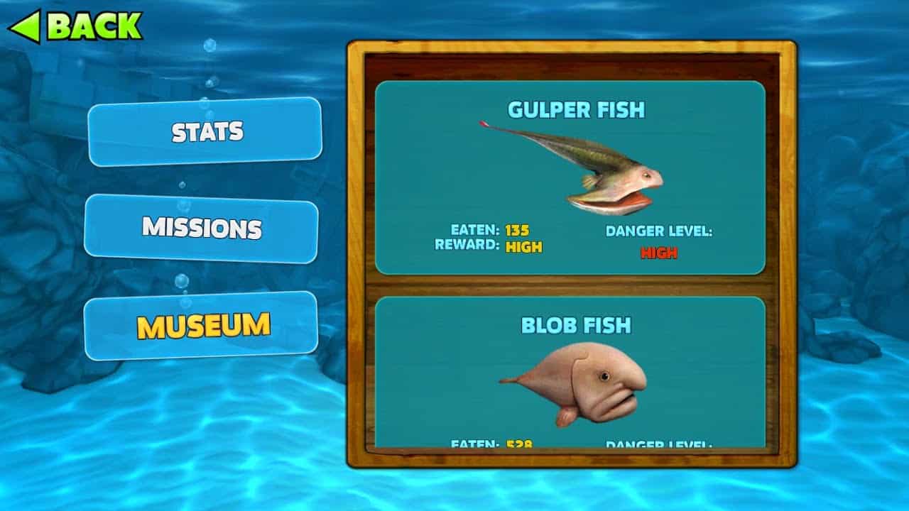 Spesies-Ikan-yang-Lengkap-dan-Realistis